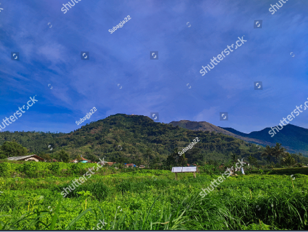 gunung putri (https://www.shutterstock.com/)