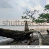 Pantai Cijeruk. Ilustrasi (foto shutterstock)