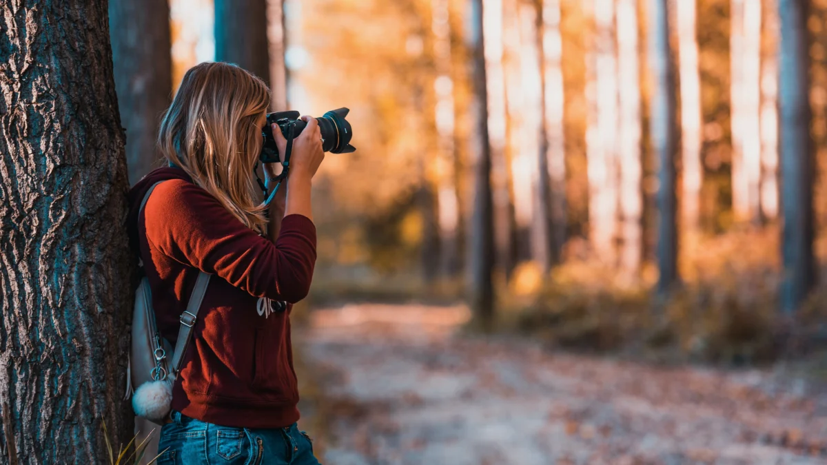 Bokeh (pexels david bartus)