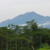 Gunung berbeda dengan dataran tinggi(foto pexels)