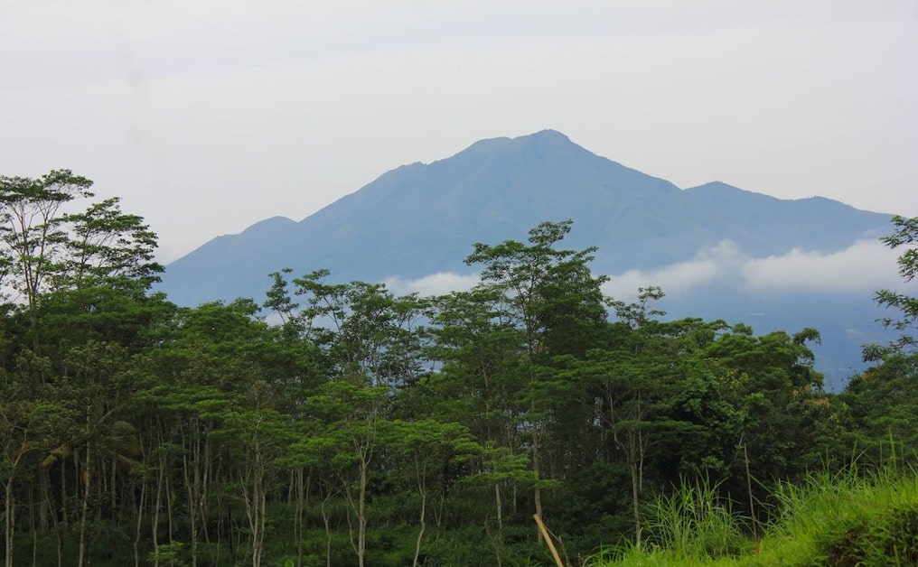 Gunung berbeda dengan dataran tinggi(foto pexels)