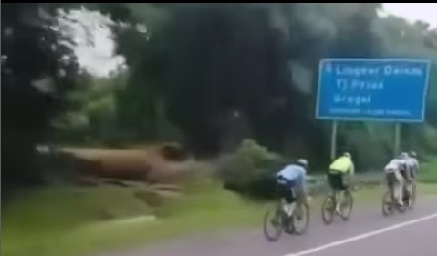 4 Pesepeda Bule Masuk Tol Jagorawi Pondok Gede, Videonya Viral di Media Sosial