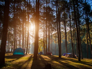 Rekomendasi 5 Tempat Camping Terpopuler Di Garut, Cocok Buat Refreshing!