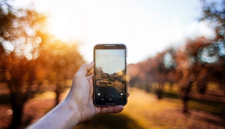 Kamera iPhone Canggih, Inilah Keunggulannya (foto Pexels)