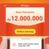 Bisa Sampe Rp12.000.000! Begini Cara Pinjam Uang Di Shopee