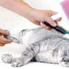 Grooming Kucing dan Inilah Manfaatnya (foto Pinterest)