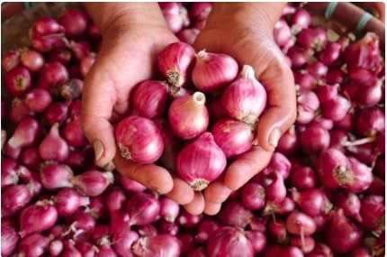 Campuran bawang merah dan minyak zaitun diyakini dapat memperbesar alat vital pria (foto shutterstock)