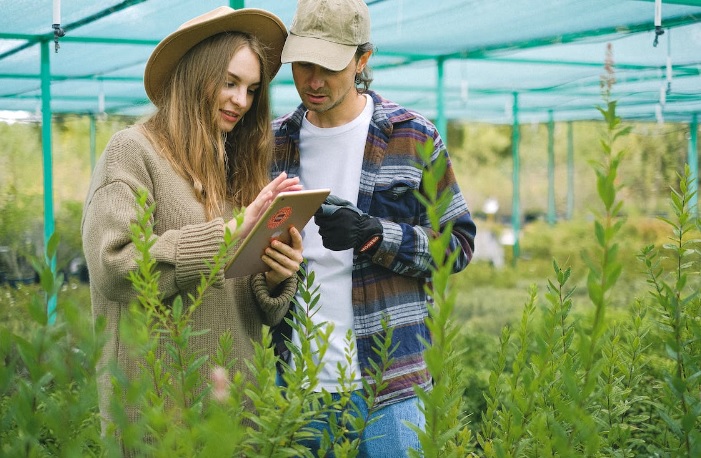 Cara Manjain Pacar Lewat Chat Agar Tetap Sosweet (foto Pexels)