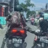 Merusak Nama Baik TNI, Seorang Pria Berbaju Loreng Tendang Pengendara Motor Ibu-Anak