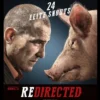 Redirected (2014)