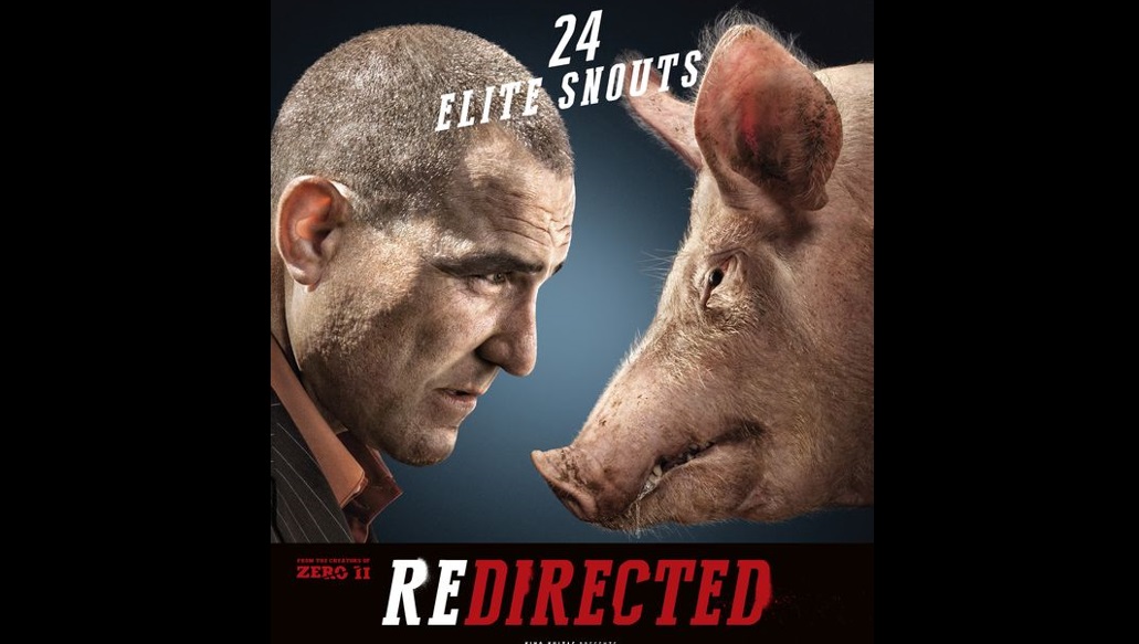 Redirected (2014)