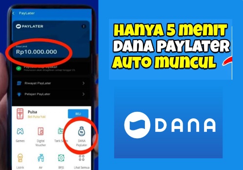 Cara Pinjaman Online DANA Limit Rp20 Juta, Legal OJK tanpa Jaminan