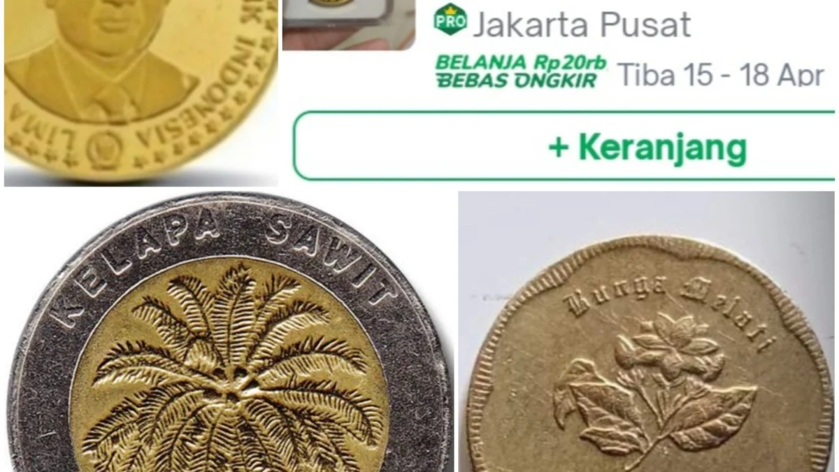 Ternyata Begini! Cara Jual Uang Koin Kuno Rp1000 Kelapa Sawit, Cek Selengkapnya