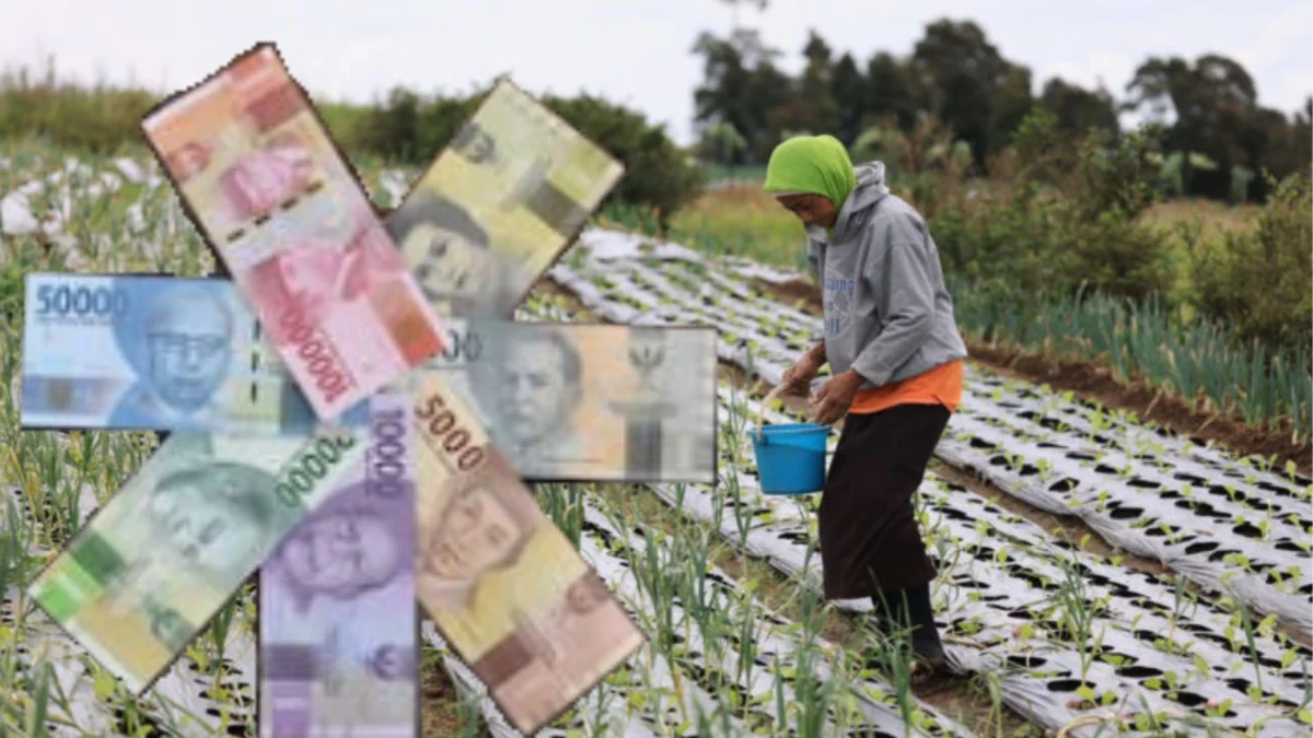 Petani Berpeluang Memiliki Omzet Ratusan Juta, Begini Alasannya!