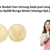 3 Cara Mudah Dan Untung Gede Jual Uang Koin Kuno Rp500 Bunga Melati Seharga Rp5 Juta