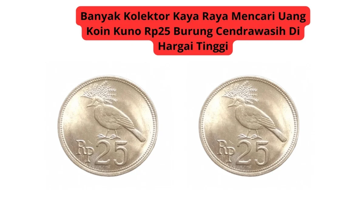 Banyak Kolektor Kaya Raya Mencari Uang Koin Kuno Rp25 Burung Cendrawasih Di Hargai Tinggi