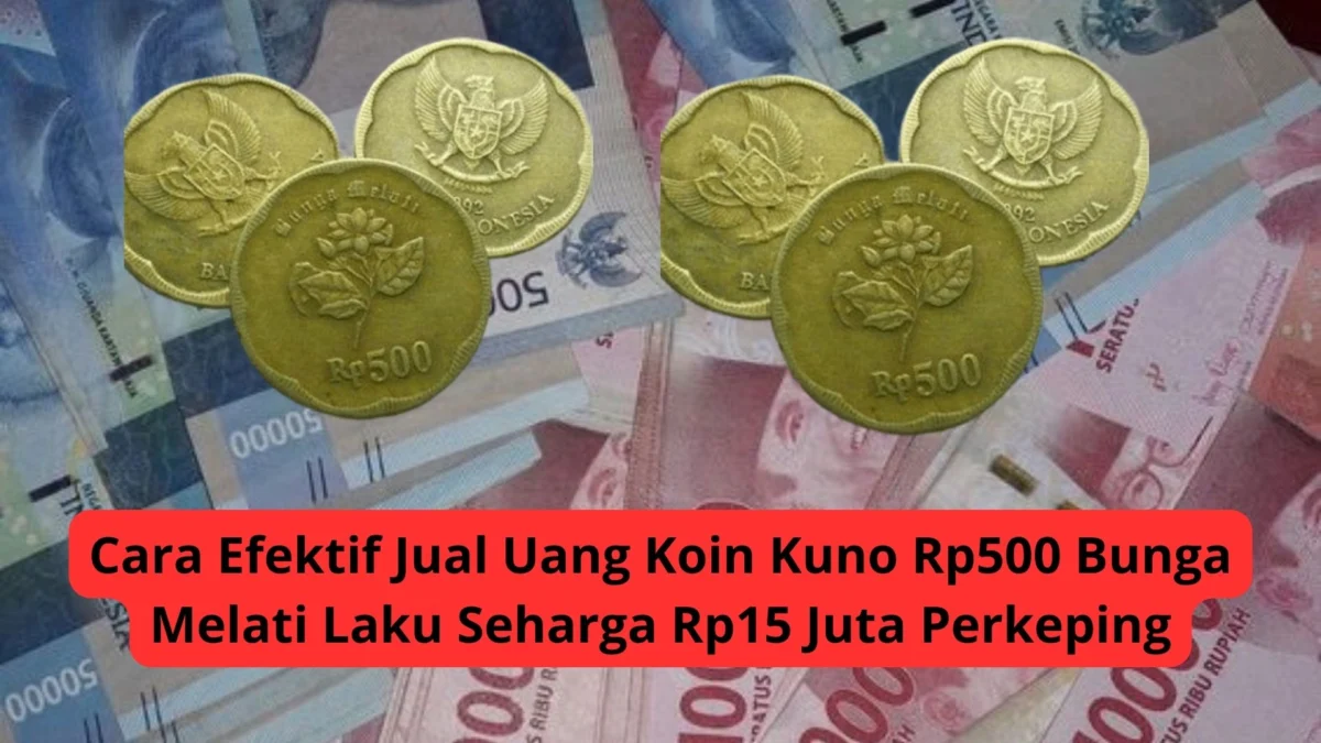 Cara Efektif Jual Uang Koin Kuno Rp500 Bunga Melati Laku Seharga Rp15 Juta Perkeping