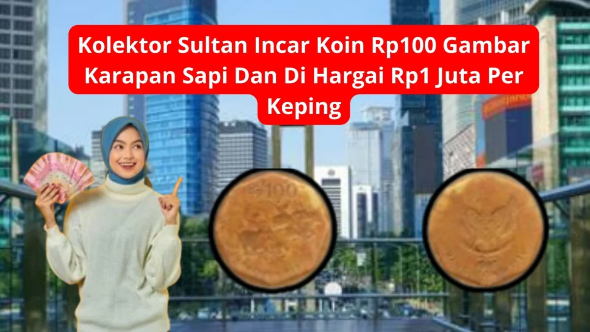 Kolektor Sultan Incar Koin Rp100 Gambar Karapan Sapi Dan Di Hargai Rp1 Juta Per Keping