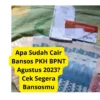 Apa Sudah Cair Bansos PKH BPNT Agustus 2023? Cek Segera Bansosmu