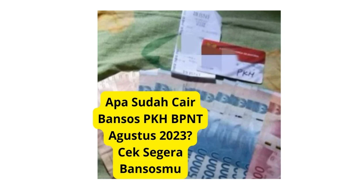 Apa Sudah Cair Bansos PKH BPNT Agustus 2023? Cek Segera Bansosmu