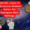 Asli Nih, 2 koin Ini Jadi Incaran Kolektor Sultan, Per Kepingnya Bikin Melongo