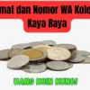 Alamat dan Nomor WA Kolektor Kaya Raya Sedang Cari Uang Koin Kuno