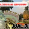 Nomor Kolektor Uang Kuno Subang Dengan Harga Tinggi, Inilah Tempatnya