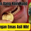 Kandungan Emas Asli Nih! Deretan Uang Koin Kuno Ini Apakah Kamu Memiliknya?