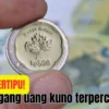 Uang 50 Rupiah Komodo Asli Terjual Rp1.350.000, Kesini Jualnya!