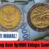 Geger! Terbukti Harga Uang Koin Rp1000 Kelapa Sawit Mahal, Begini Penjelasannya