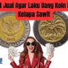 Harga Uang Koin Kuno Rp1000 Kelapa Sawit Lebih Tinggi dari Harga Aslinya, Inilah Tempat Jual Cepat Laku!