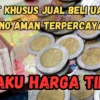 Tempat Khusus Jual Beli Uang Koin Kuno Aman Terpercaya, Catat Sekarang!