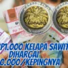 Koin Rp1.000 Kelapa Sawit Dihargai Rp50.000/kepingnya, Cepat Hubungi Akun Ini Lagi Butuh Banyak