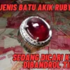 Dicari Kolektor! Jenis Batu Akik Ruby Yang Sedang Dicari Kolekor Dibandrol Tinggi