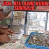 Nama Alamat Lengkap! Tempat Jual Beli Uang Kuno Daerah Sidoarjo, Simak Penjelasannya Disini