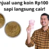 Mengejutkan! Cara Agar Uang Koin Rp100 Karapan Sapi Bisa Laku 100 Juta Langsung Cair Tanpa Ribet