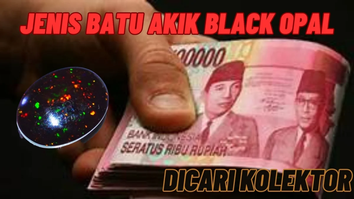 Jenis Batu Akik Black Opal Yang Sedang Dicari Kolektor Agar Dijual Dengan Harga Tinggi