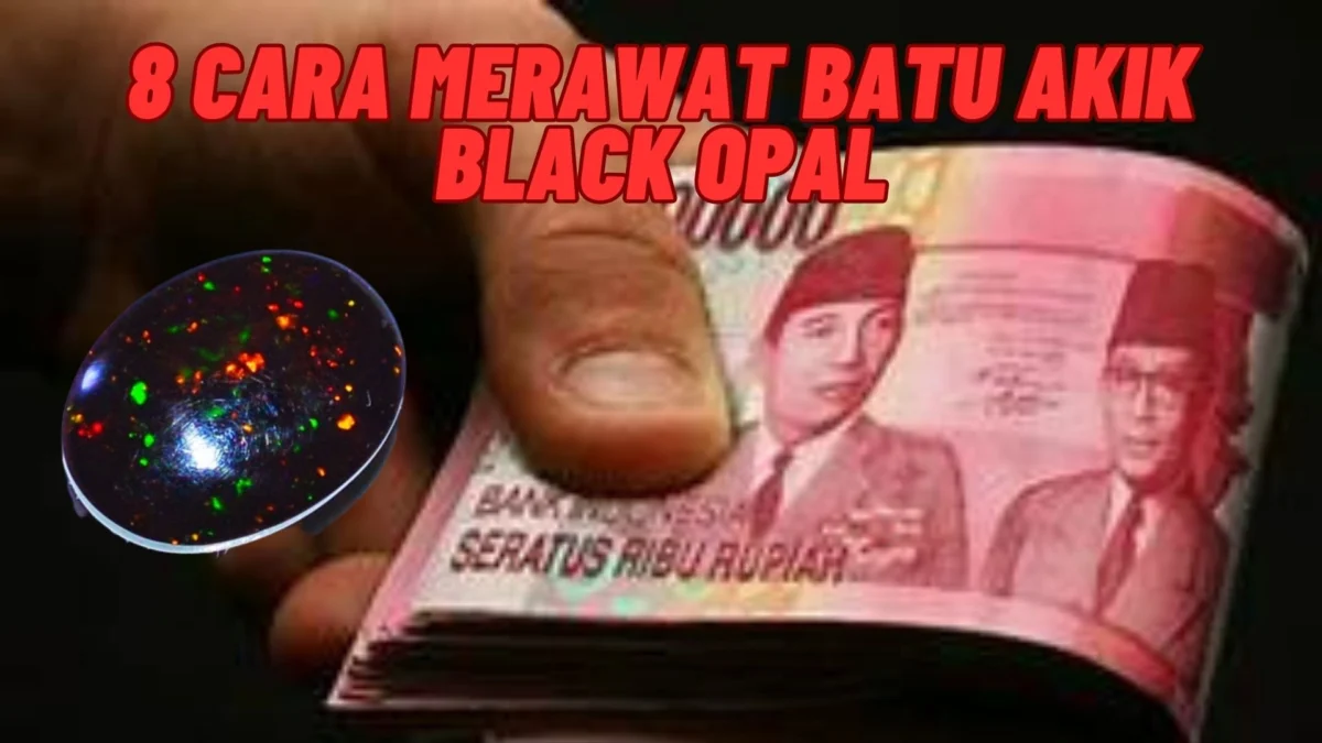 8 Cara Merawat Batu Akik Black Opal Agar Bisa Di Menjadi Keliatan Kinclong Terus