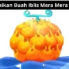 Keunikan Buah Iblis Mera Mera no Mi dalam Cerita One Piece, Simak Penjelasnnya Disini