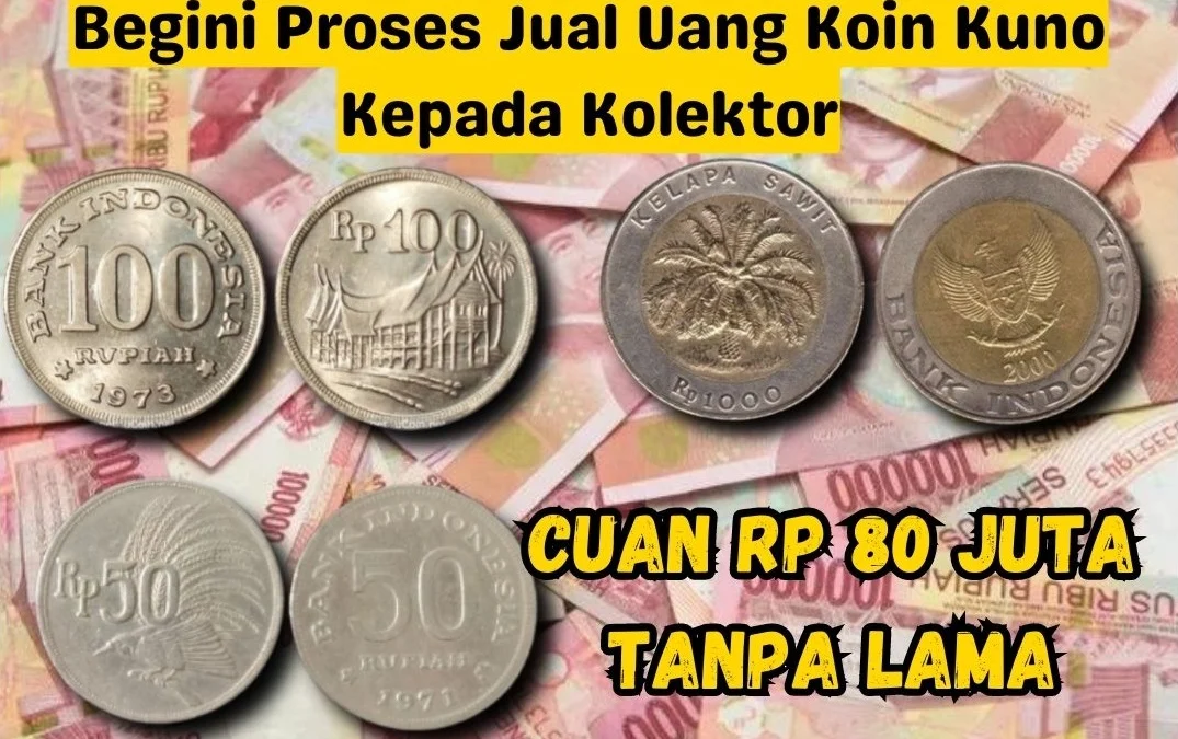 Langsung Cuan Rp80 Juta Tanpa Lama, Begini Proses Jual Uang Koin Kuno Kepada Kolektor