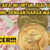 TOKCER! Pakai Cara Ini Untuk Jual Uang Koin Kuno dengan Harga Mahal