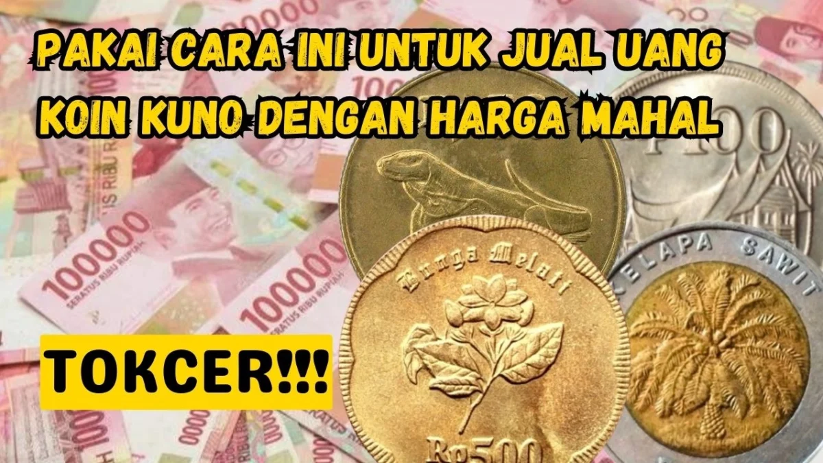 TOKCER! Pakai Cara Ini Untuk Jual Uang Koin Kuno dengan Harga Mahal