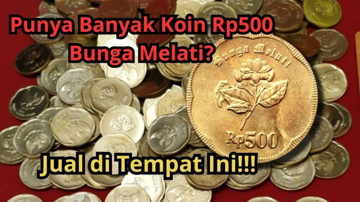 Punya Banyak Uang Koin Rp500 Bunga Melati? Jual di Tempat Ini Langsung Diborong!