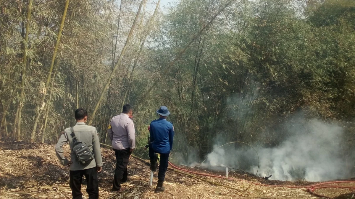 UPTD Damkar Limbangan Berjibaku Padamkan Kebakaran Lahan