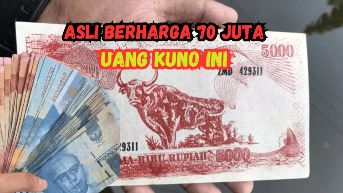 Asli Berharga 70 Juta, Ini Penampakan Uang Kunonya!