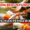 Pelihara Ikan Ini, Dijamin Beruntung! 5 Jenis Ikan Pembawa Hoki