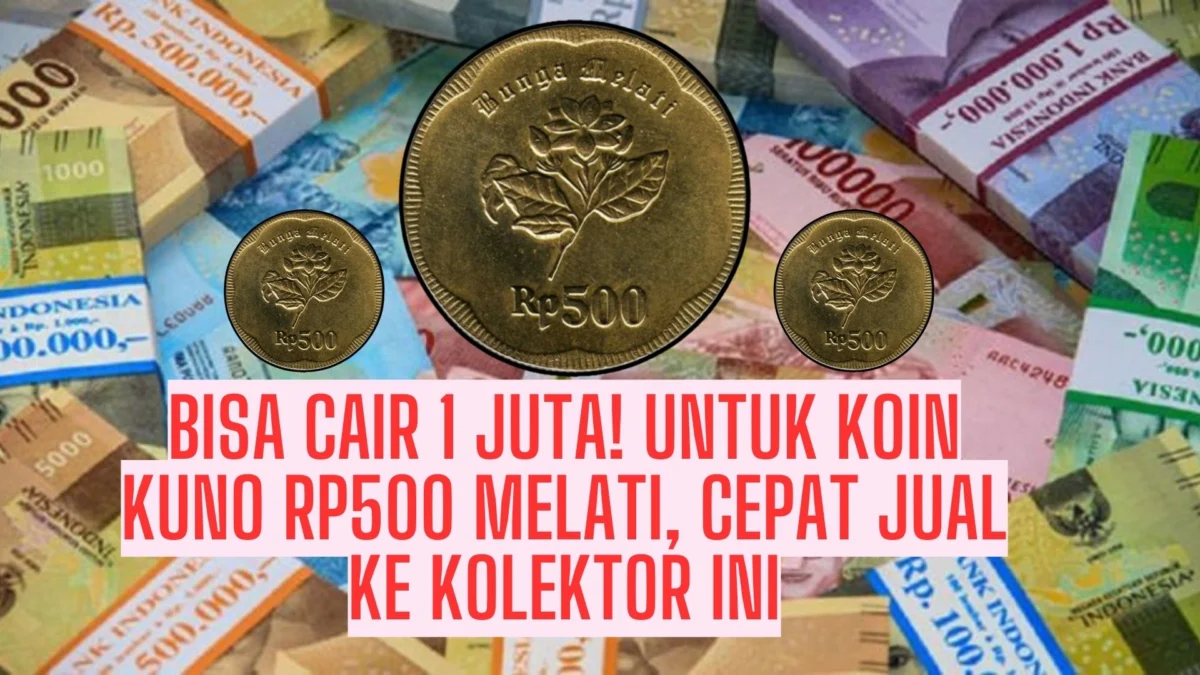 Bisa Cair 1 Juta! Untuk Koin Kuno Rp500 Melati, Cepat Jual ke Kolektor Ini