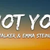 Kunci Gitar Alan Walker ft Emma Steinbakken – Not You Chord Dasar