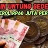 Dibanderol Rp60 Juta Per 5 Keping, Jual Uang Koin Kuno Ke Nomor WhatsApp Kolektor Ini!