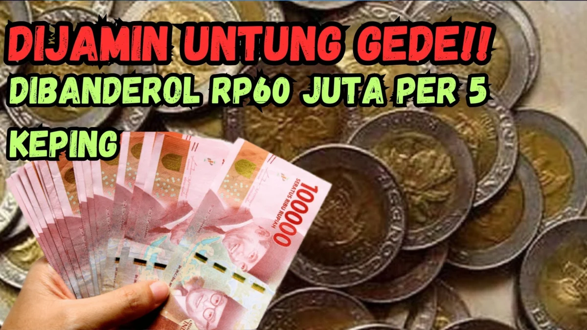 Dibanderol Rp60 Juta Per 5 Keping, Jual Uang Koin Kuno Ke Nomor WhatsApp Kolektor Ini!